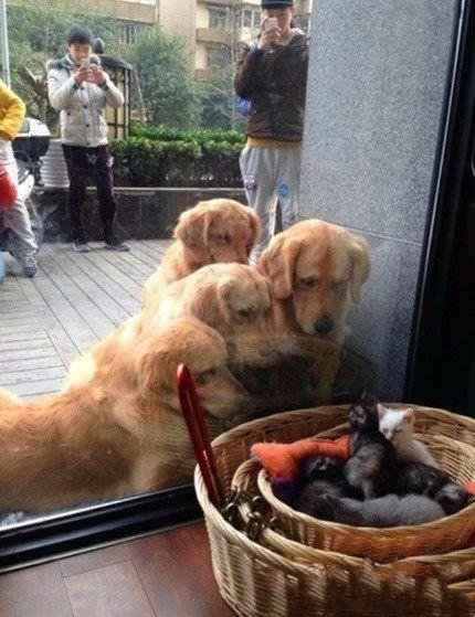 这年头没有大长腿都不好意思出门