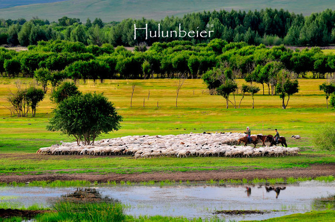 呼伦贝尔拍照攻略,呼伦贝尔美景拍照