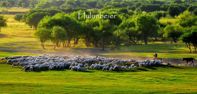 呼伦贝尔拍照攻略,呼伦贝尔美景拍照