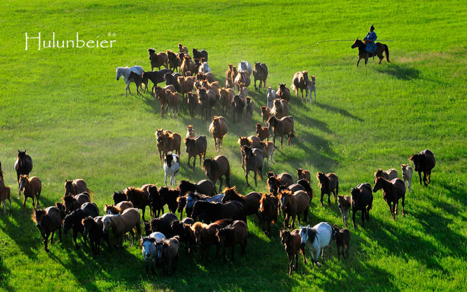 呼伦贝尔拍照攻略,呼伦贝尔美景拍照