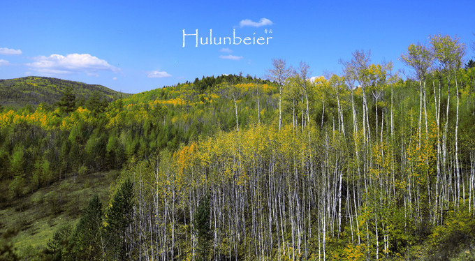 呼伦贝尔拍照攻略,呼伦贝尔美景拍照