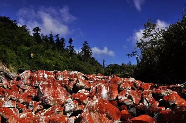 燕子沟有哪些好玩的地方,燕子沟云海风景