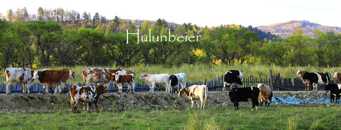 呼伦贝尔拍照攻略,呼伦贝尔美景拍照