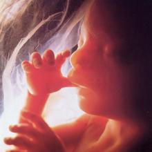 生完孩子后胎盘可以吃吗,生了孩子后胎盘可以吃吗