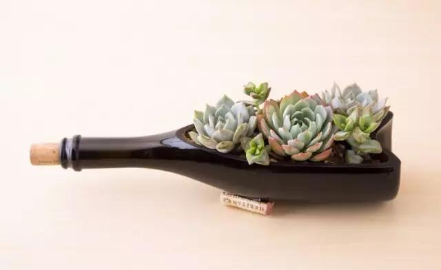红酒瓶与多肉,玻璃瓶与多肉的邂逅