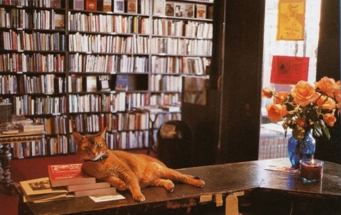 合肥下雨天能带宝宝玩的地方,下雨天合肥