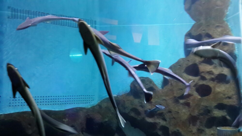 合肥下雨天能带宝宝玩的地方,下雨天合肥