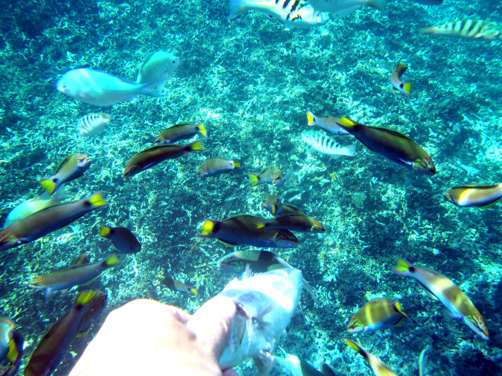 三亚马来西亚旅游,不要再去又挤又贵的三亚