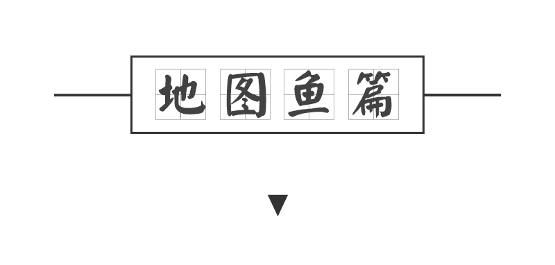 怎么才能养好地图鱼,养鱼新手入门能养地图鱼吗