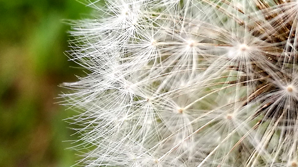 荣耀v8全面测评,荣耀v8前后对比