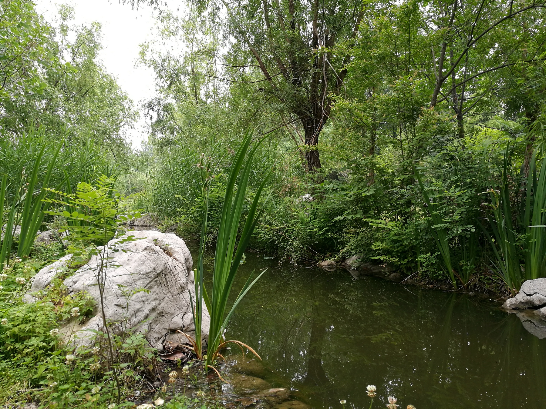 荣耀v8全面测评,荣耀v8前后对比