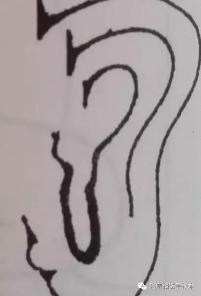 看耳朵识女人,看耳朵能看出肾的情况吗