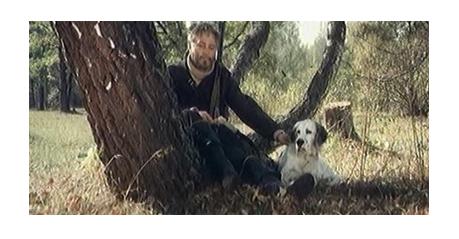 导盲犬小q动漫片影评,导盲犬小q电影总结