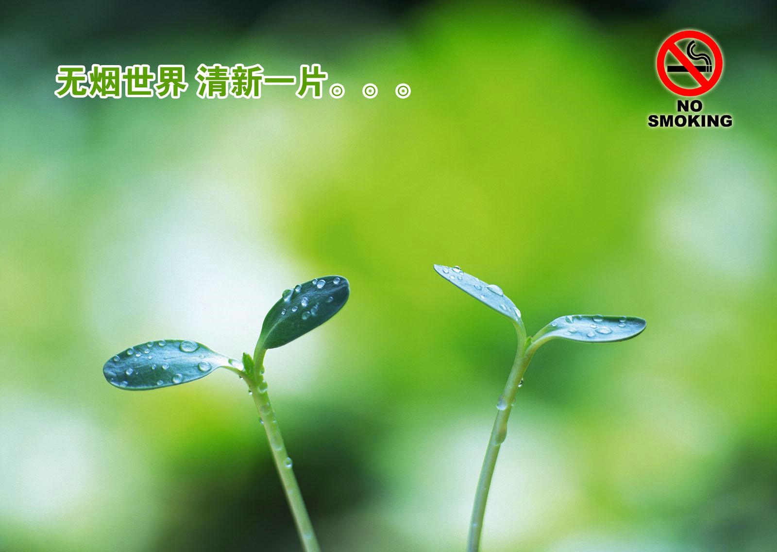 关于世界戒烟日的来历,国际戒烟日