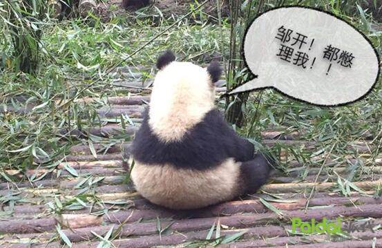 店铺营销技巧和话术直播,从卖货到卖人