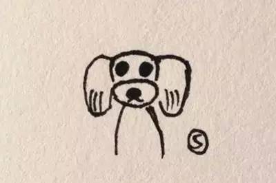 泰迪装修剪：耳朵放下来脸就变形怎么办？