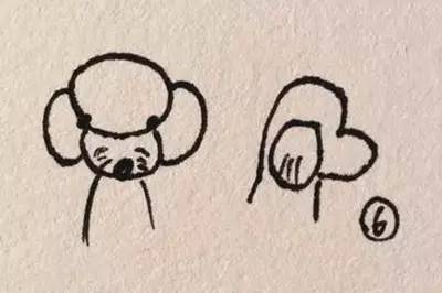 泰迪装修剪：耳朵放下来脸就变形怎么办？