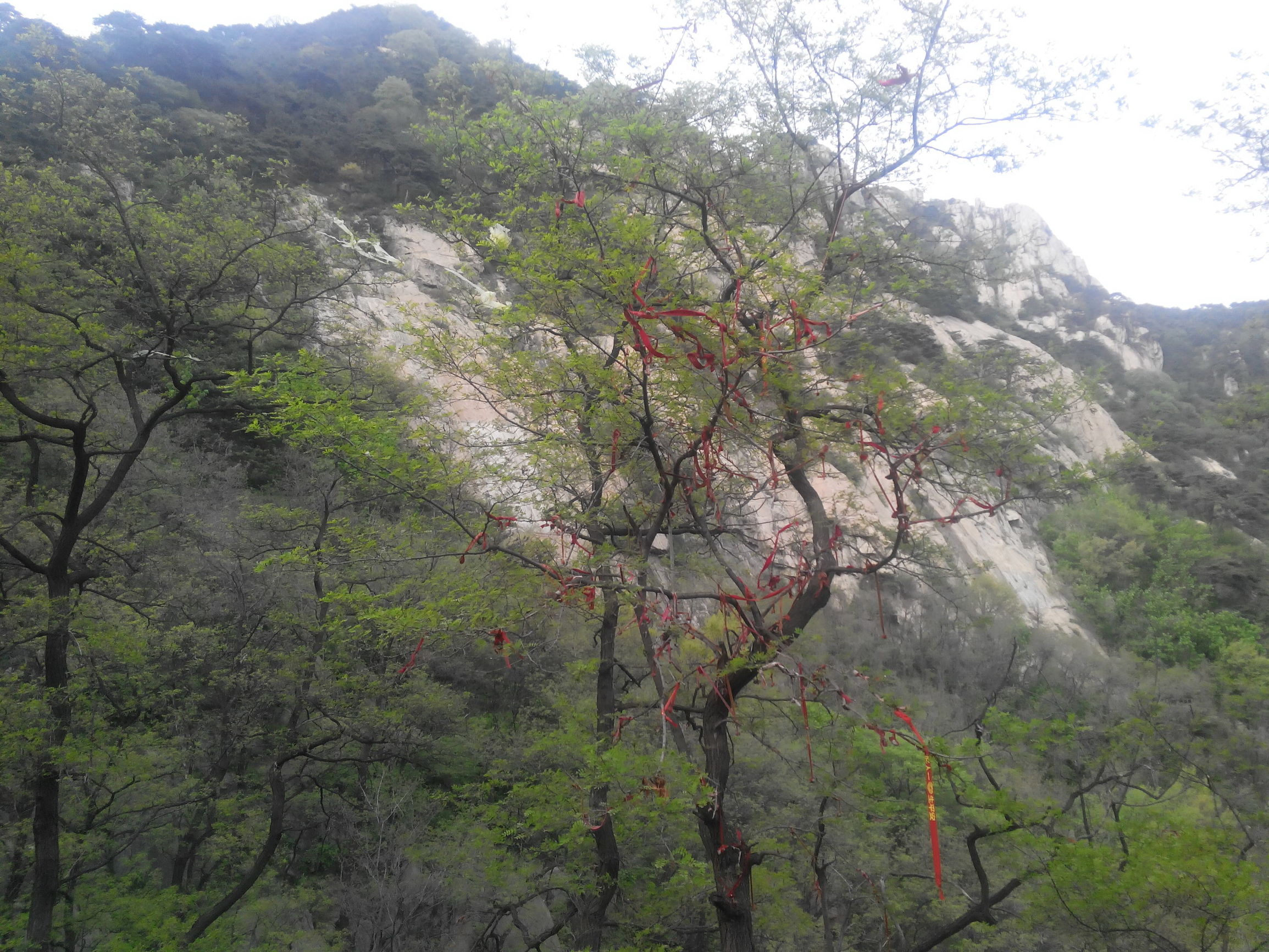 天津去泰山自由行攻略,天津泰山旅游攻略自助游