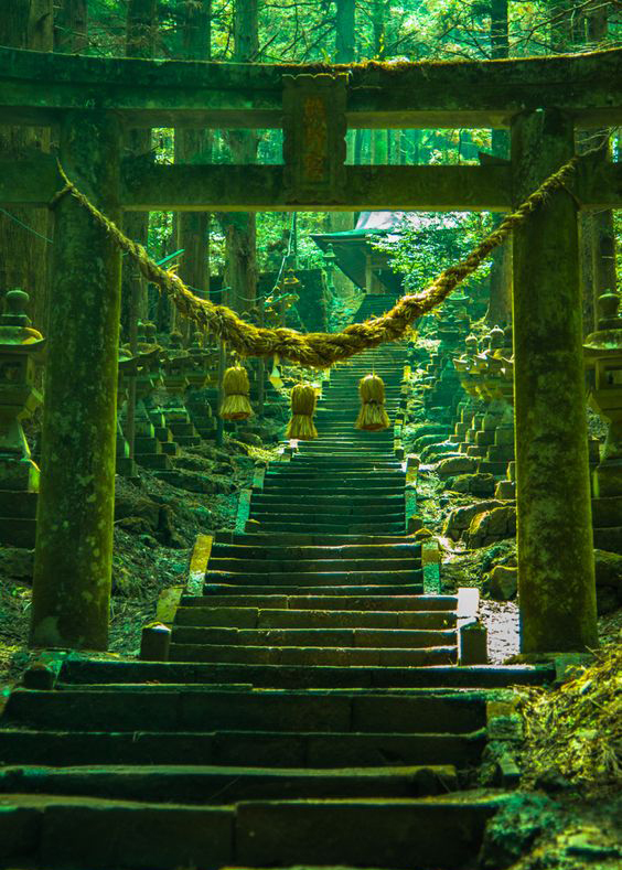 熊本熊长大后的样子,四只熊本熊图片