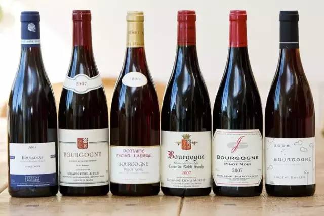 耐心看完你会感动吗,四大顶级黑皮诺葡萄酒