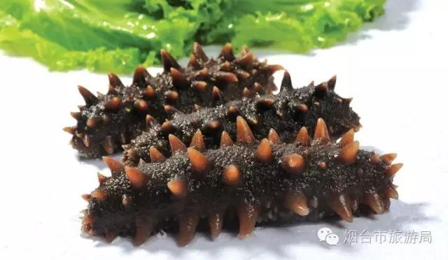 一起来品味烟台的海鲜,一起来品尝东山海鲜