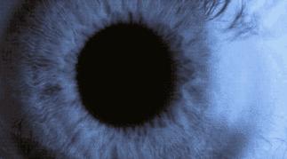 这本「*片禁**」是最好的感化教材！