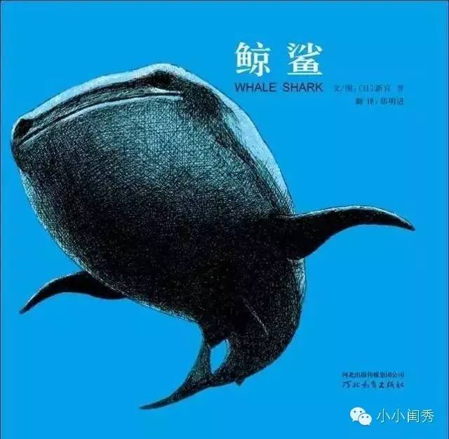 假期带孩子自驾游,儿童旅行类绘本推荐