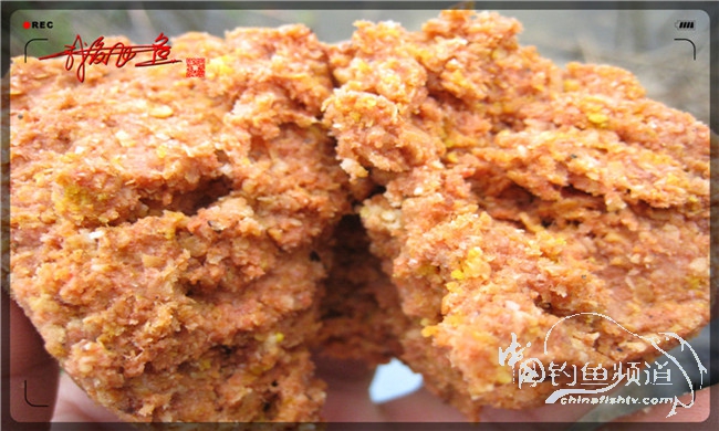 风雨无阻之我爱飞鱼去‘*欢寻**’!