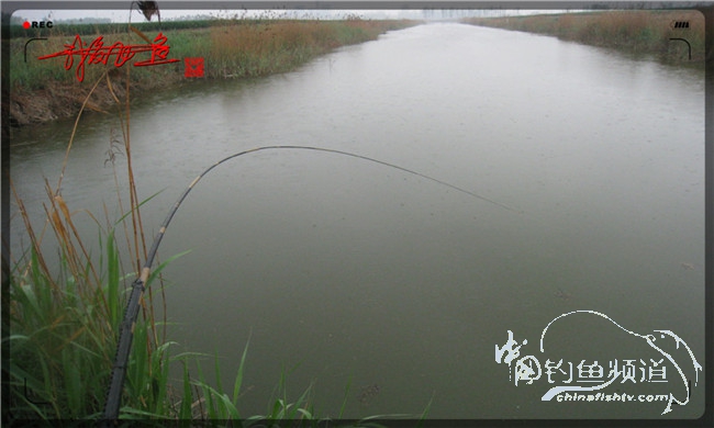 风雨无阻之我爱飞鱼去‘*欢寻**’!