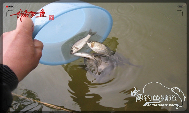 风雨无阻之我爱飞鱼去‘*欢寻**’!