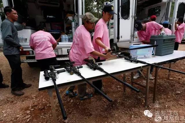 147大老虎全被抓走了?泰国虎庙或将无虎!