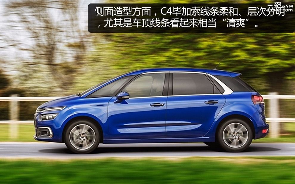 一般人欣赏不了,一般人欣赏不来的艺术花