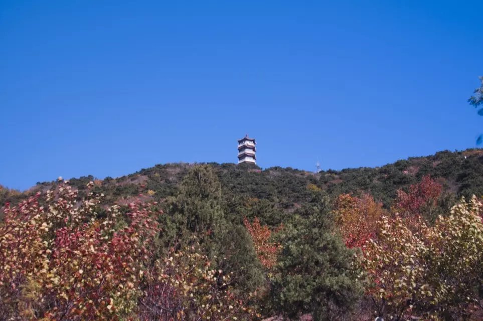 蟒山森林公园小东江,莽山森林公园萤火虫