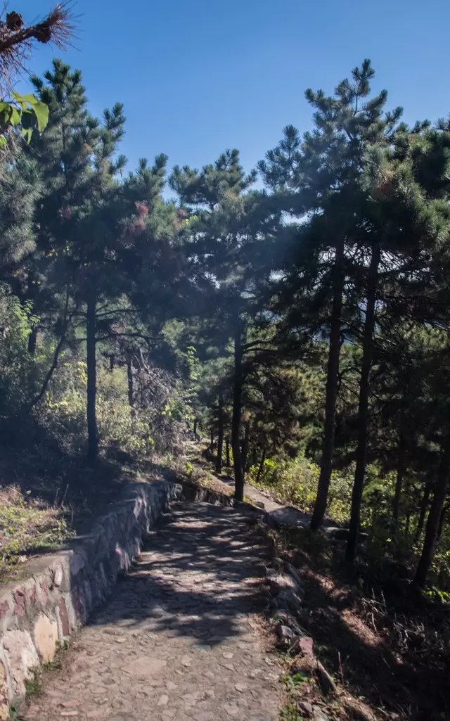 蟒山森林公园小东江,莽山森林公园萤火虫