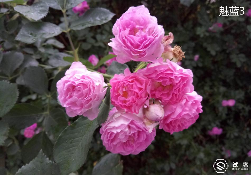 魅蓝3测评,魅蓝3s深度测评