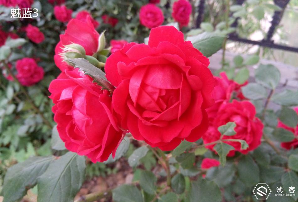 魅蓝3测评,魅蓝3s深度测评