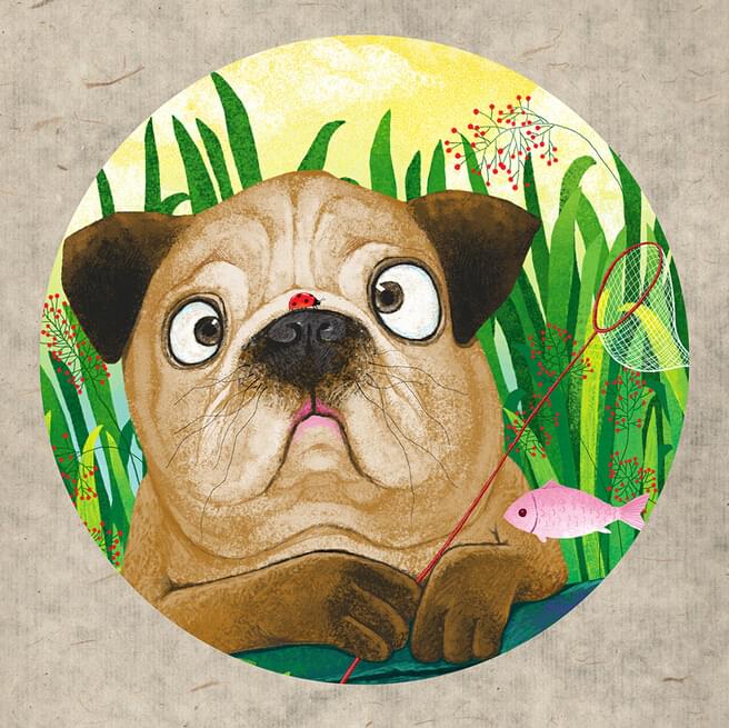 有福气的孩子几点出生最好,几点出生的宝宝有福气