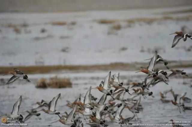 海拉尔城堡旅游攻略,海拉尔玩的地方攻略