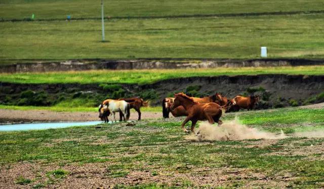 海拉尔城堡旅游攻略,海拉尔玩的地方攻略