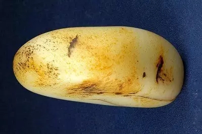 西宁旅游带什么特产回去最值 (西宁旅游带什么特产好)