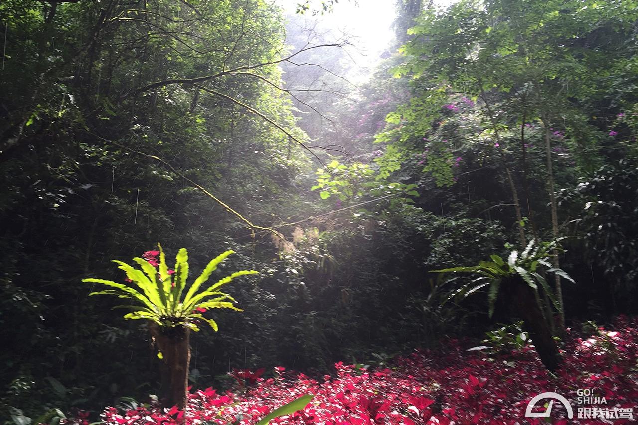 g哥参加的节目,g哥逃离塔科夫