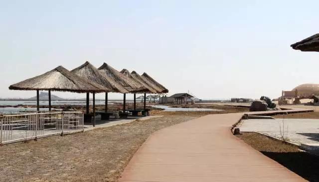 宁夏青铜峡蟹田米，养生之“稻”送给最亲爱的人