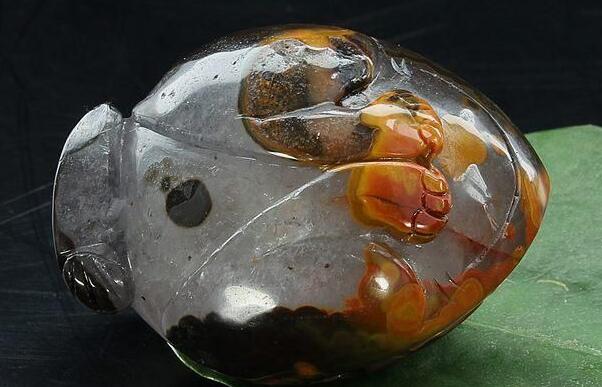 海洋玉髓越来越受欢迎,精华海洋玉髓