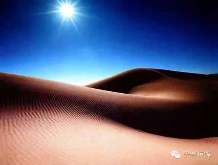 你的单纯最终埋葬在了沙漠