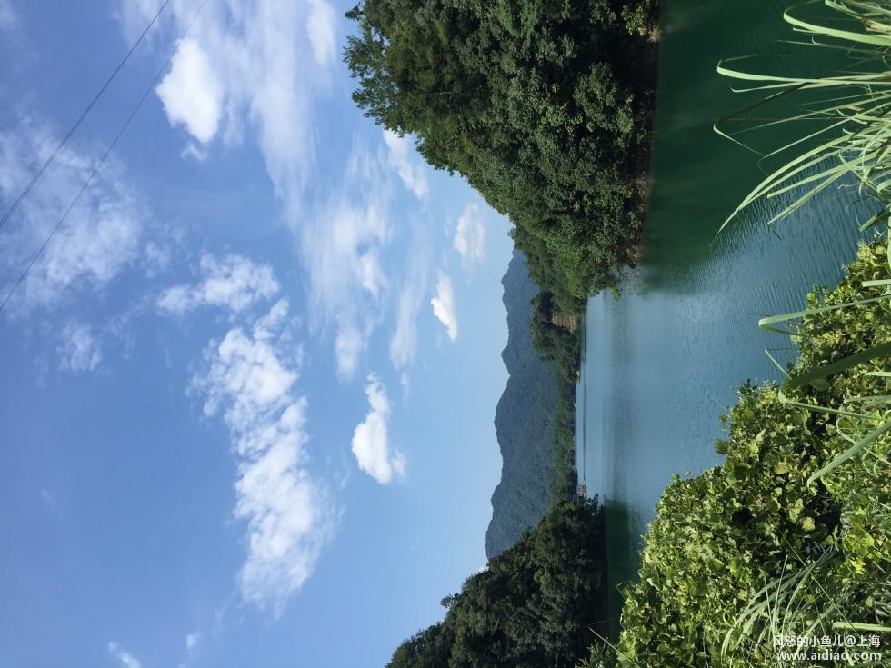 游钓太平湖视频,游钓太平湖