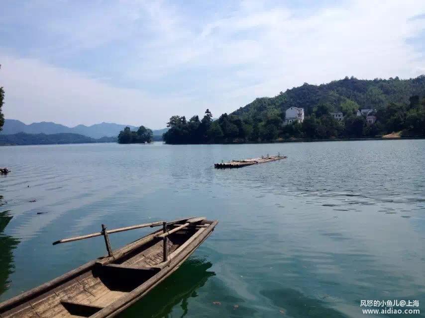 游钓太平湖视频,游钓太平湖