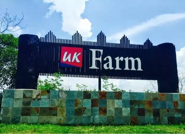 带孩子去马来西亚旅游,带孩子去马来西亚旅游安全吗