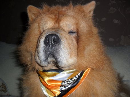 男生们怎么看待卫生巾,男性怎么看待卫生巾