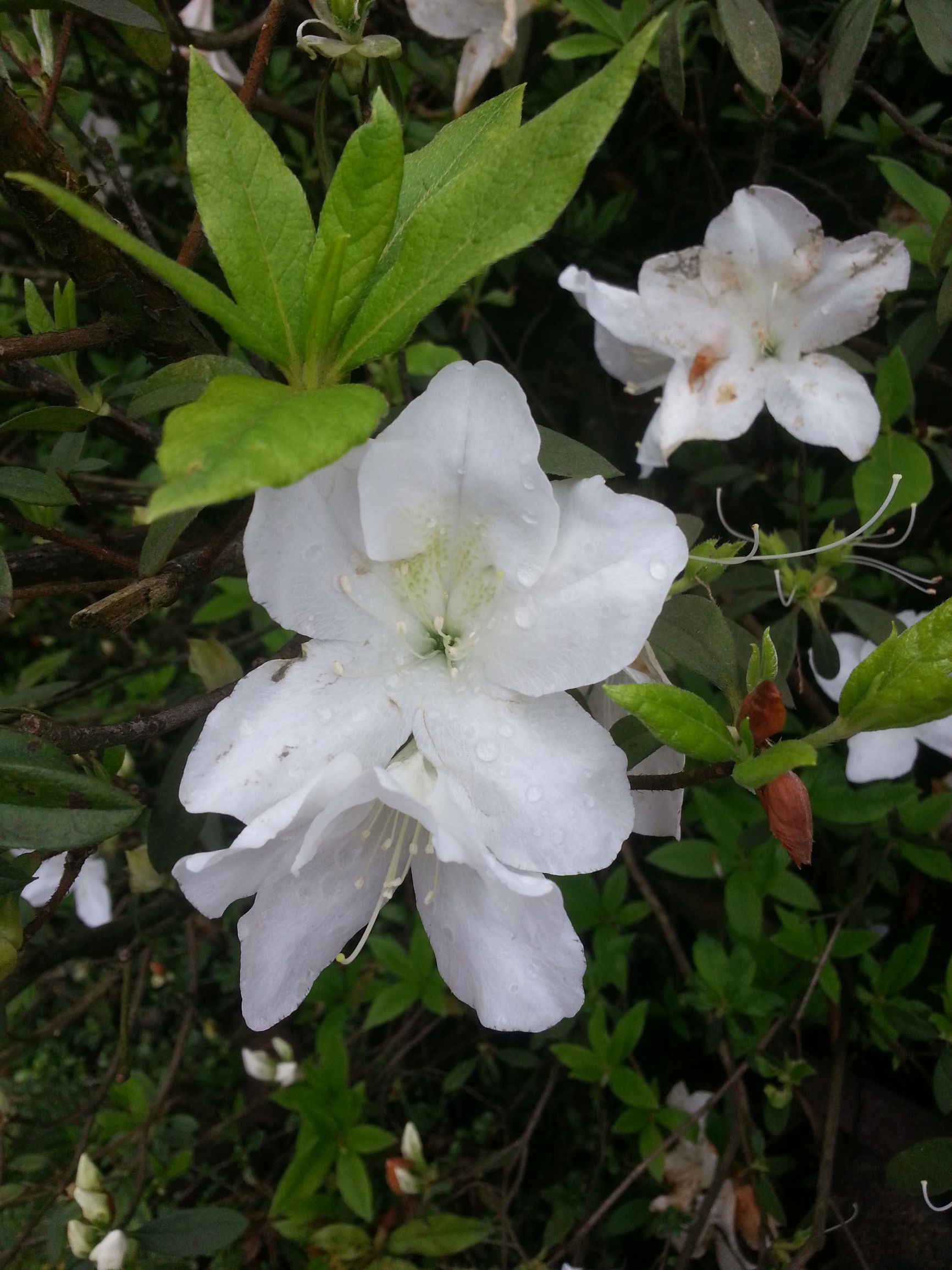 夏天不想开空调又怕热建议买什么,夏天没空调不让用扇子如何降温