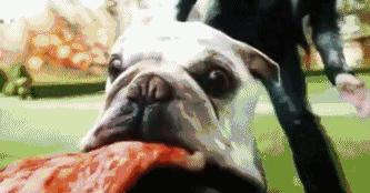 x战警天启魔形女,x战警天启强吗